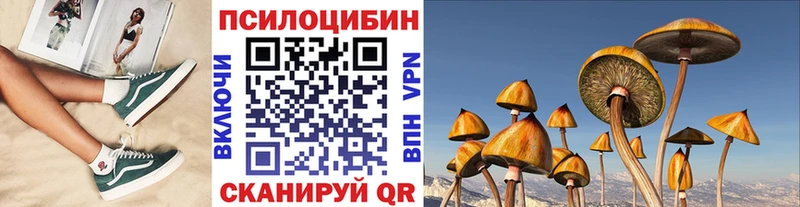 Галлюциногенные грибы Psilocybine cubensis Адыгейск